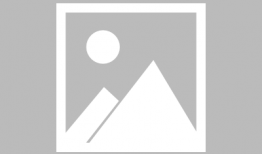 bl肉视频,一场视觉与情感的盛宴